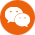 ŷ(q)S΢̖
