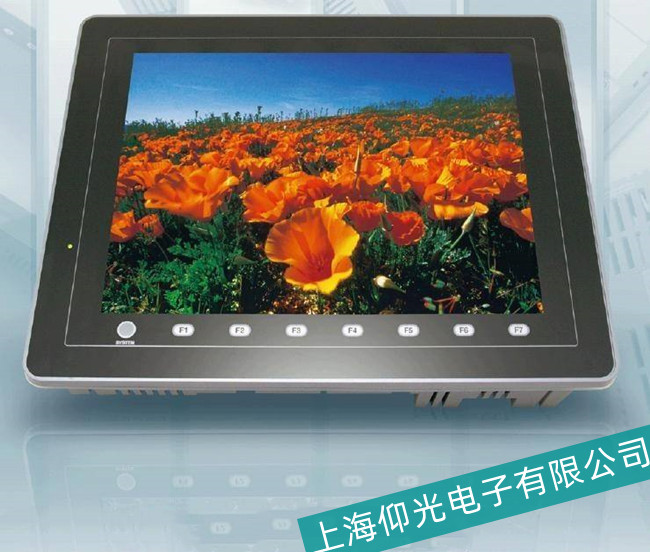 嘉定白光S806M10D觸摸屏屏幕上變色和變形故障維修