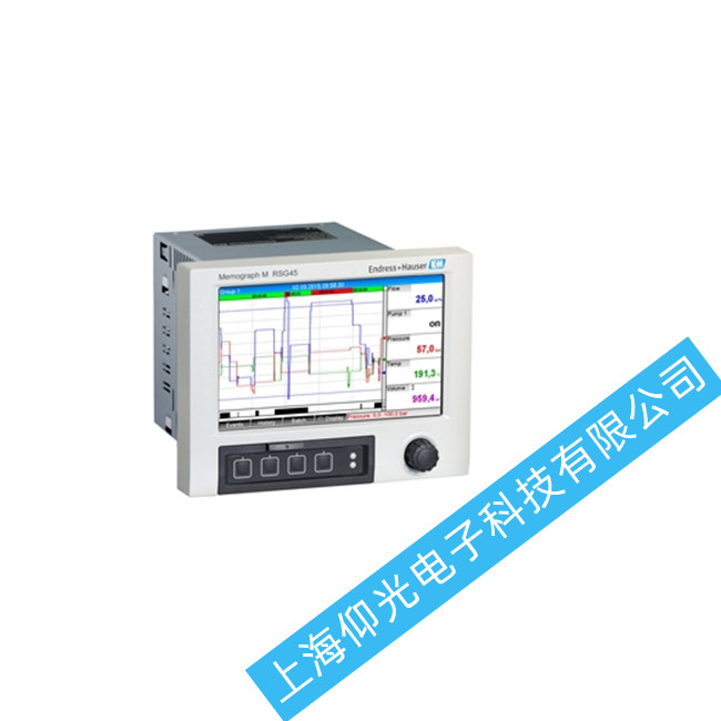 Endress+Hauser RIA45^̜y؃xS޹