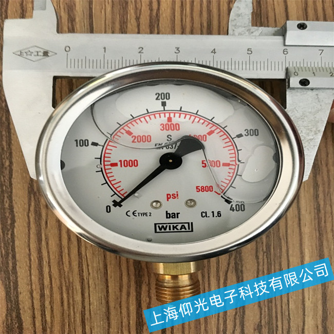 (gu)WIKA܉ָʾֵ`ԭŲS